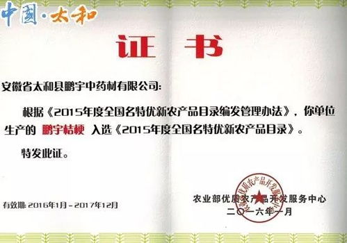 剛剛公布 界首這個(gè)地方被國(guó)家看中 以后不得了 快看是你們村嗎