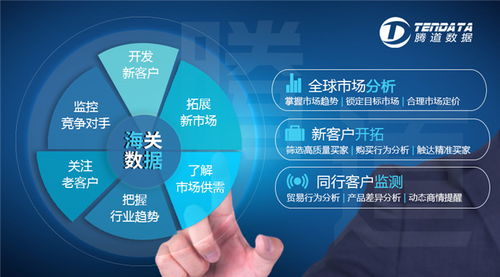 徹底搞懂海關(guān)數(shù)據(jù)的作用,收藏這一篇就夠了