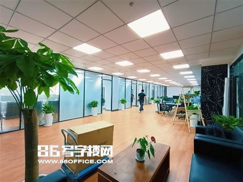 上海保周創(chuàng)新中心出租 進(jìn)出口業(yè)務(wù) 貨代 航運(yùn) 報關(guān) 物流 第三方物流 電商 直播等 86寫字樓網(wǎng)